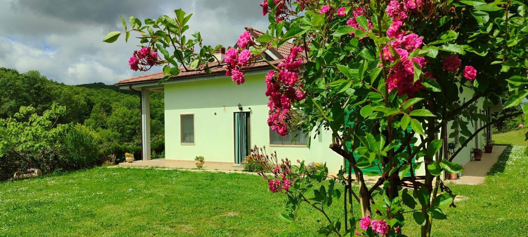 Pia'S House Garden Apartment Campobasso Bagian luar foto